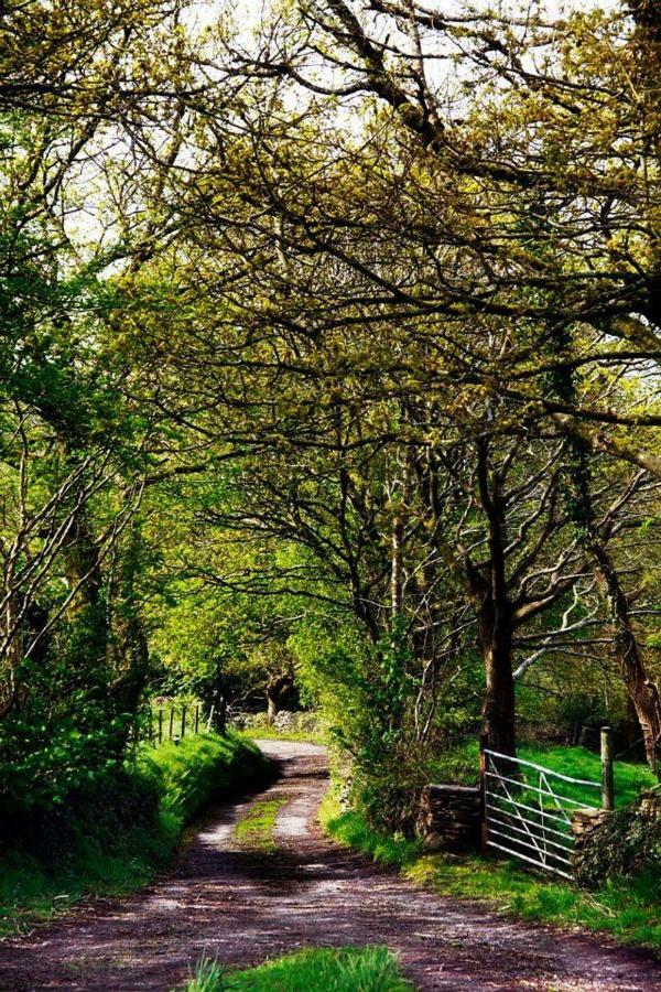 Cilhendre Holiday Cottages - The Dairy Swansea Buitenkant foto