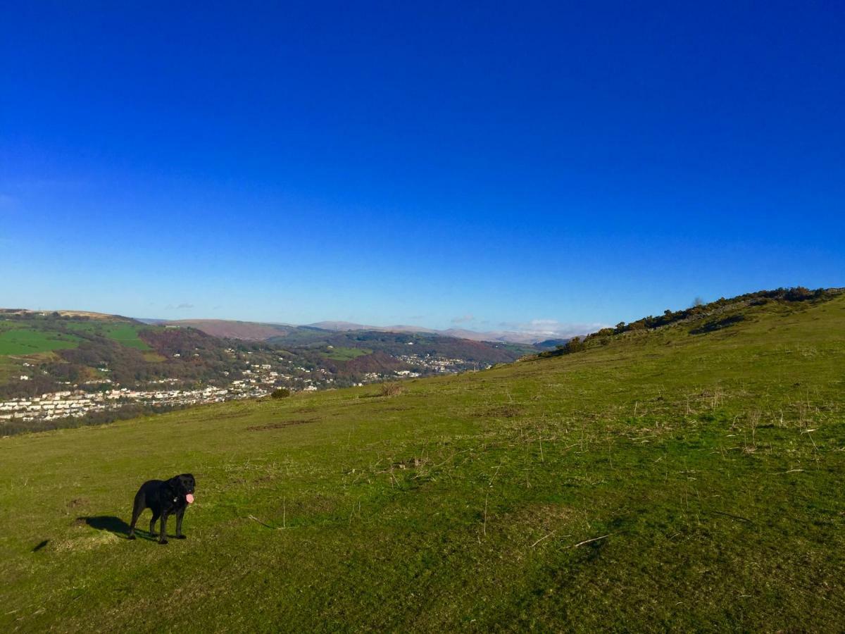 Cilhendre Holiday Cottages - The Dairy Swansea Buitenkant foto